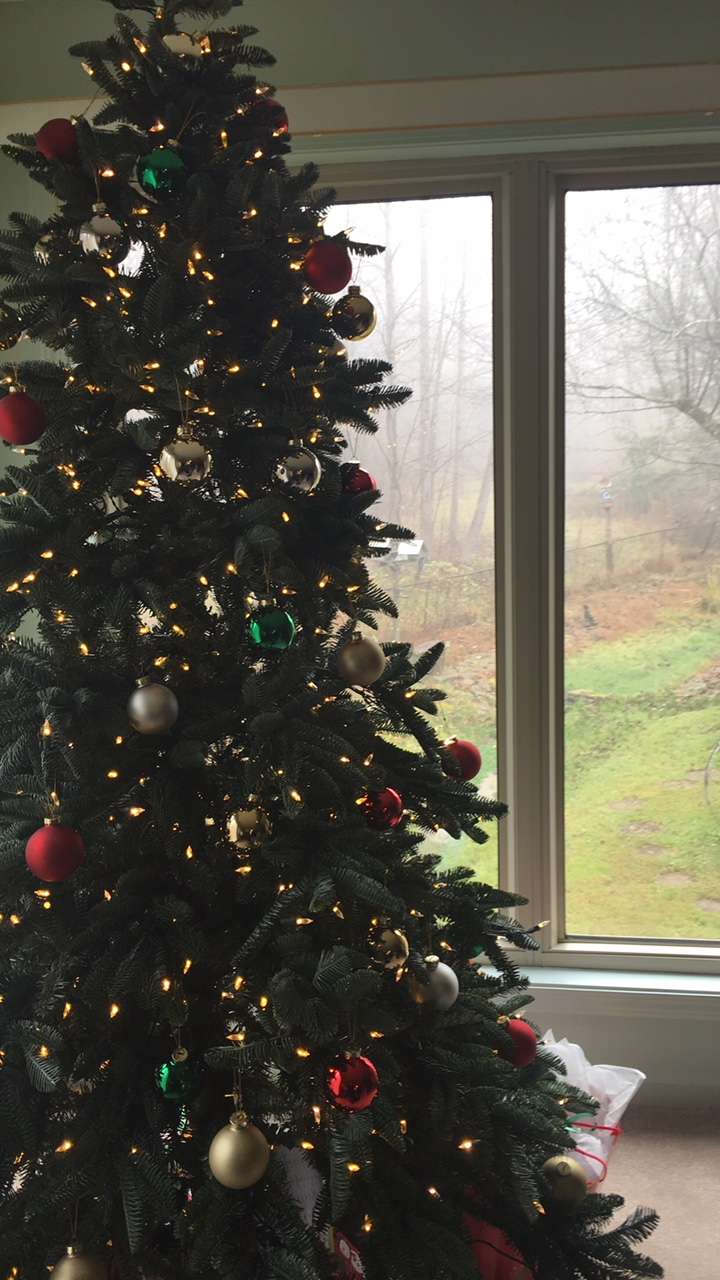 Holiday Traditions: Christmas Tree Decorating #holiday #Christmas #traditions #ad