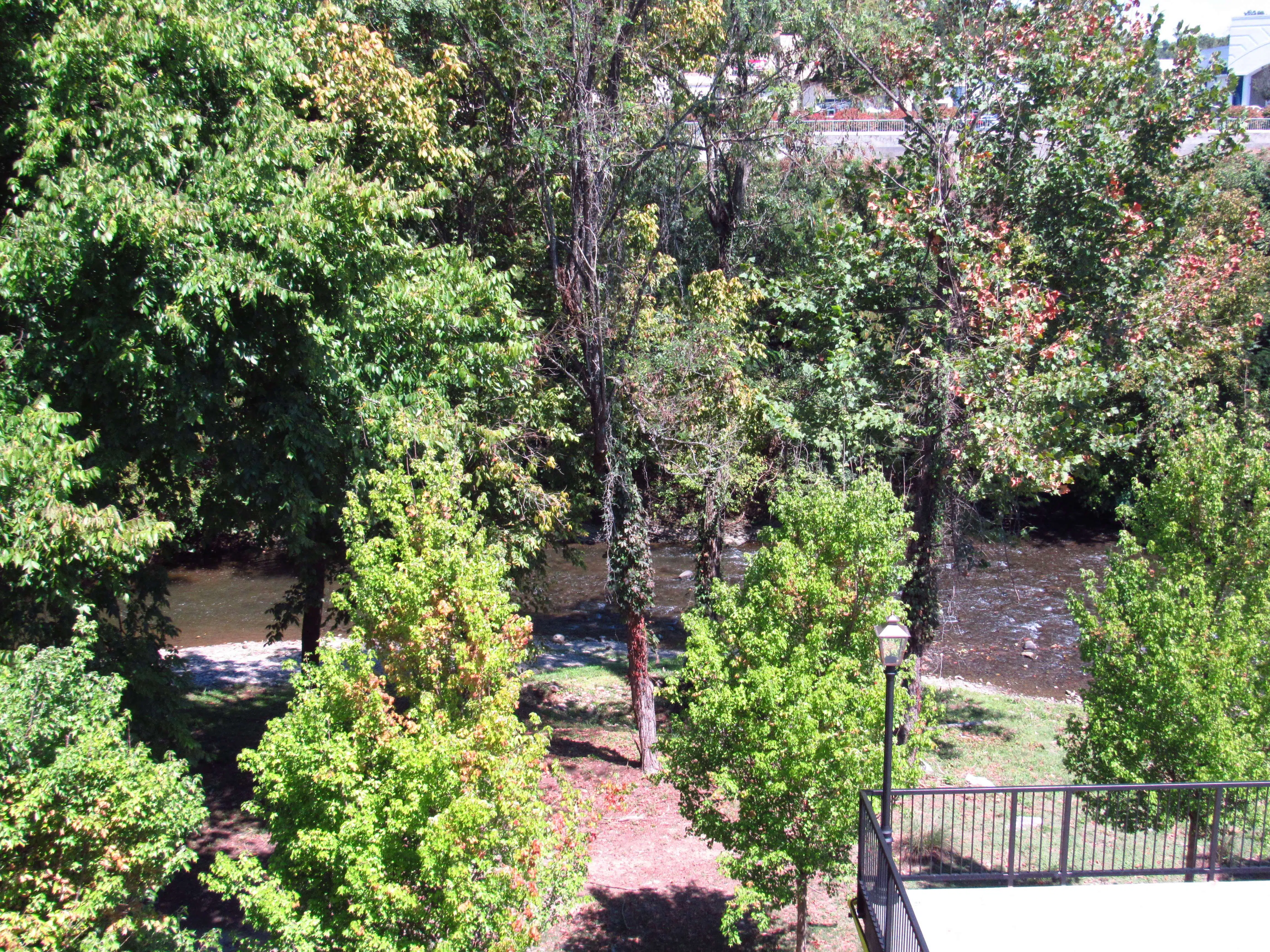 The Truth Behind Our Stay at Margaritaville in Pigeon Forge 6 Margaritaville Island Hotel Pigeon Forge