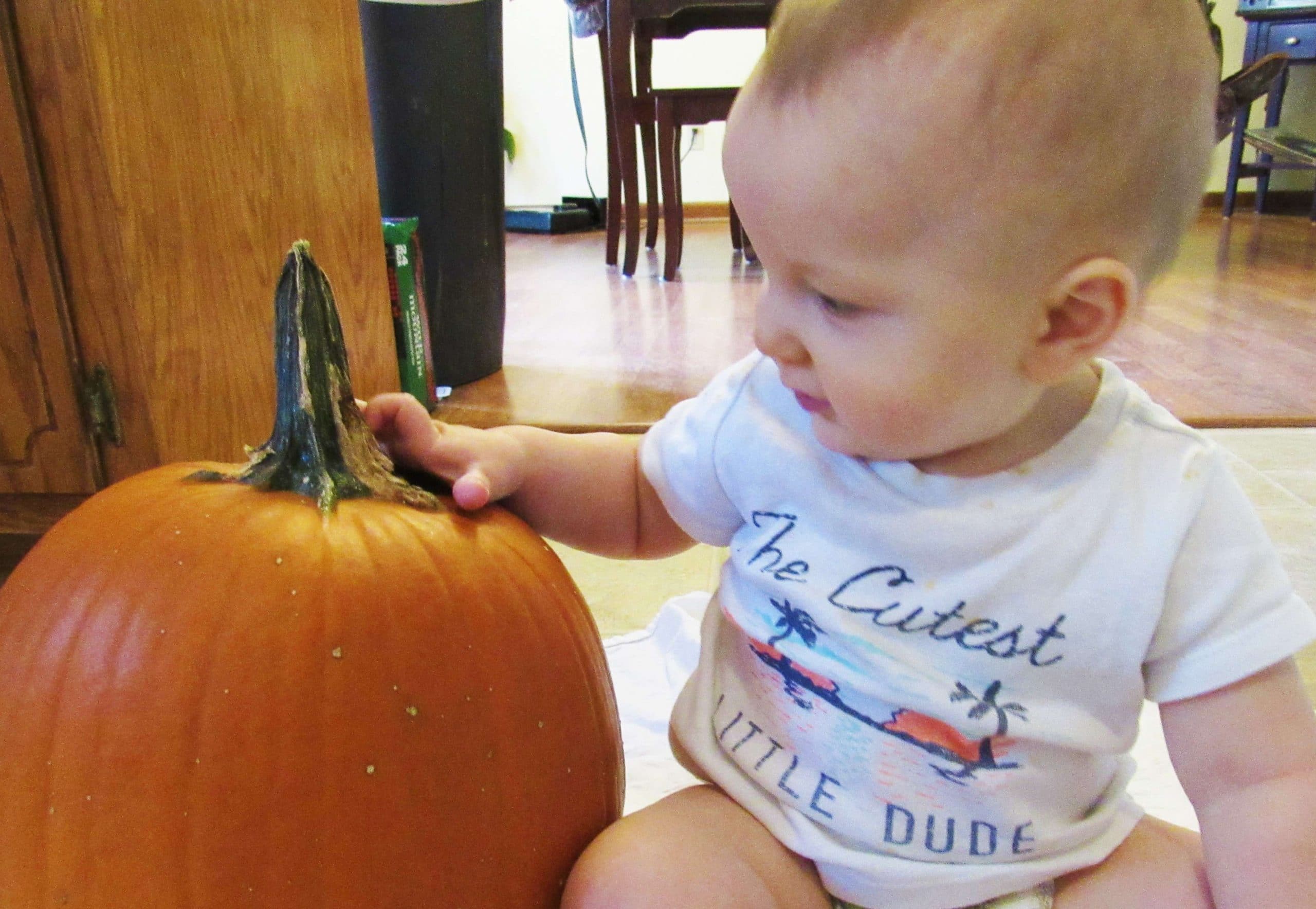 Pumpkin Decorating with a Toddler