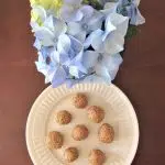 Peanut Butter Protein Bites 4 IMG 3293