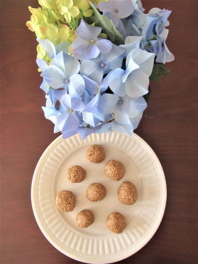 Peanut Butter Protein Bites Story