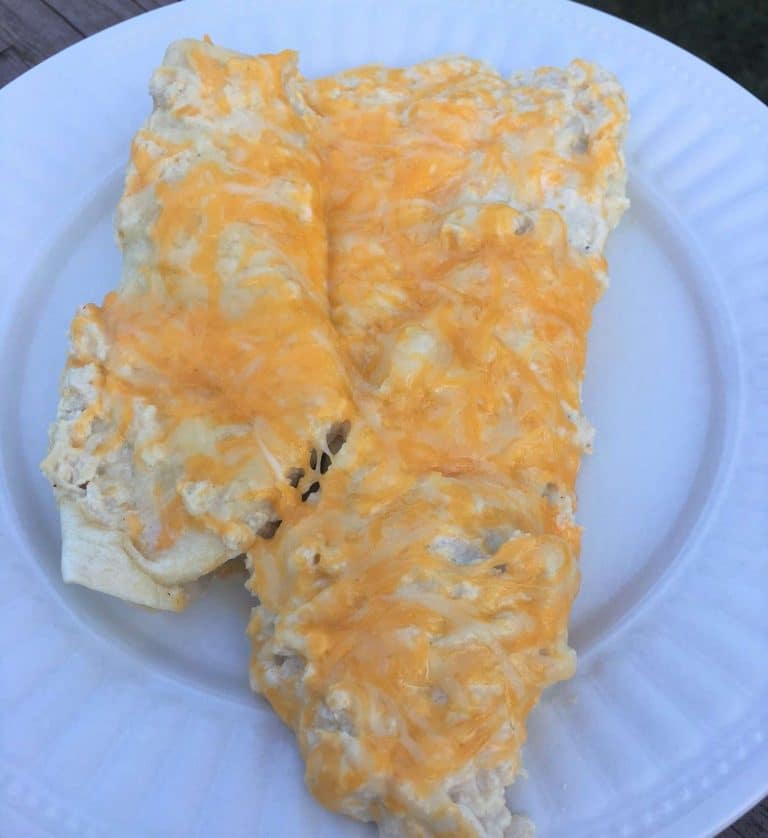 cheesy chicken enchiladas on white glass plate 