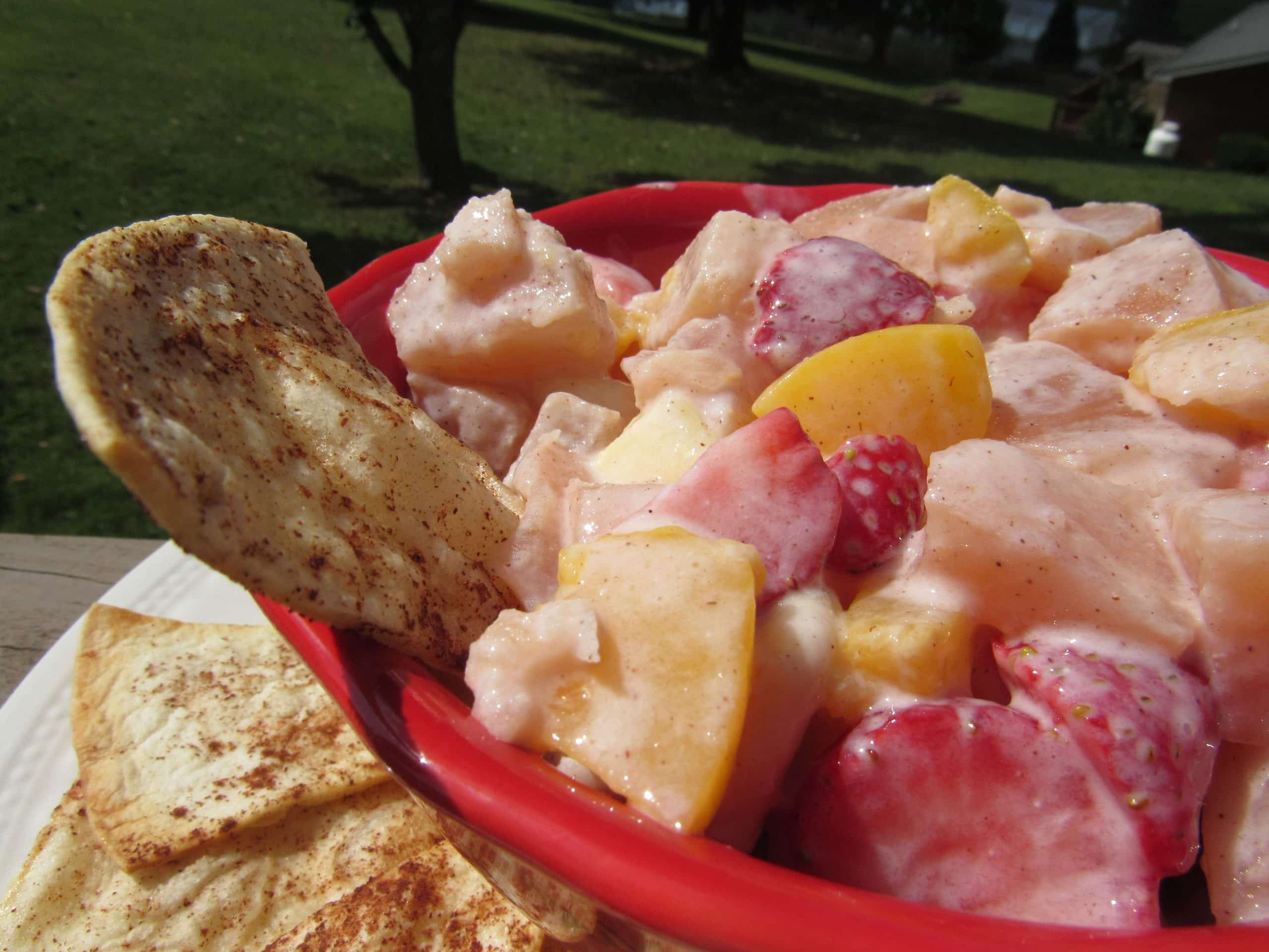 Close up of bowl of fruit dip with cinnamon tortilla chips.