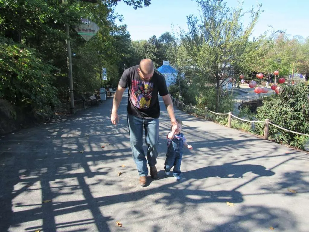 Father and son walking around Zoo in Knoxville 