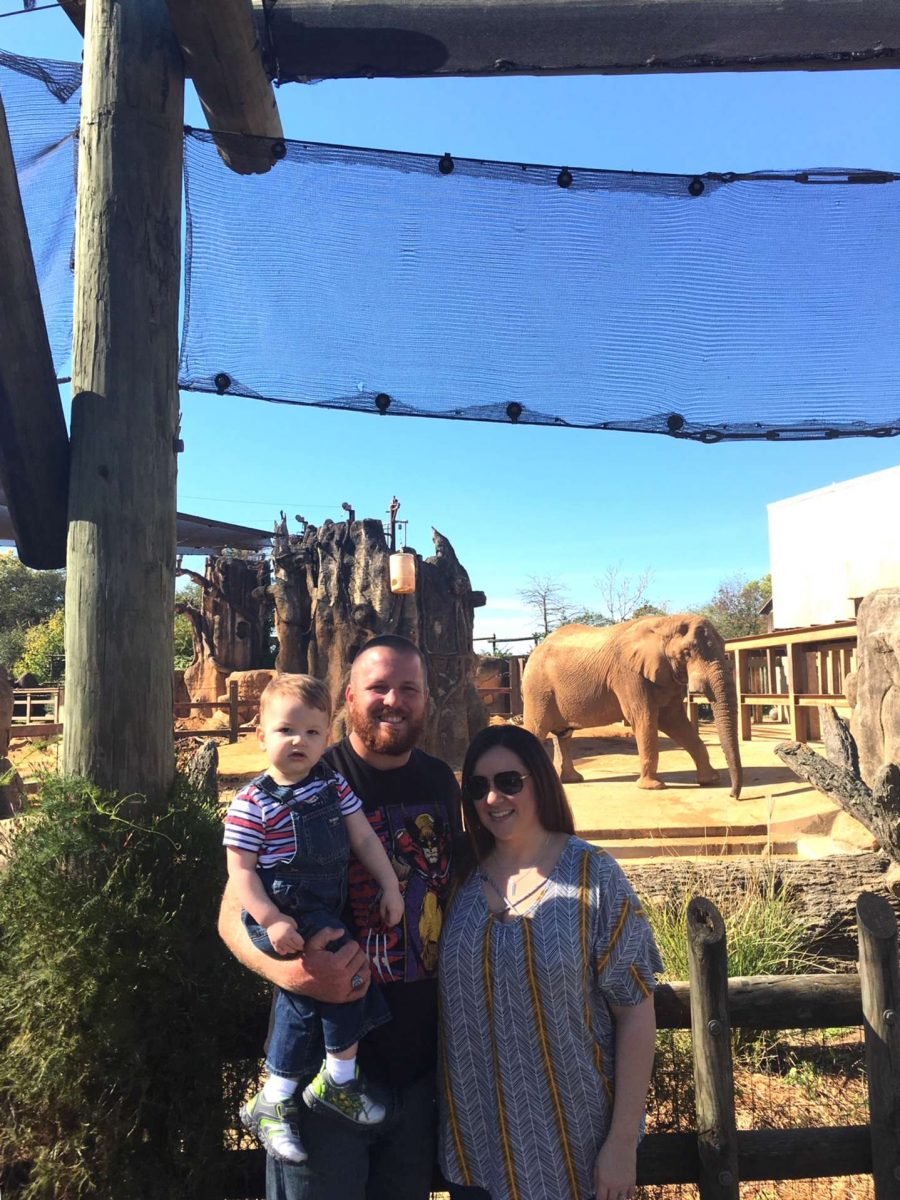 Top 5 Tips for Visiting Zoo Knoxville