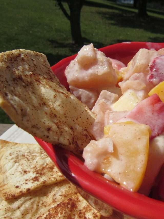 Close up of fruit dip with Greek yogurt and cinnamon tortilla chips.