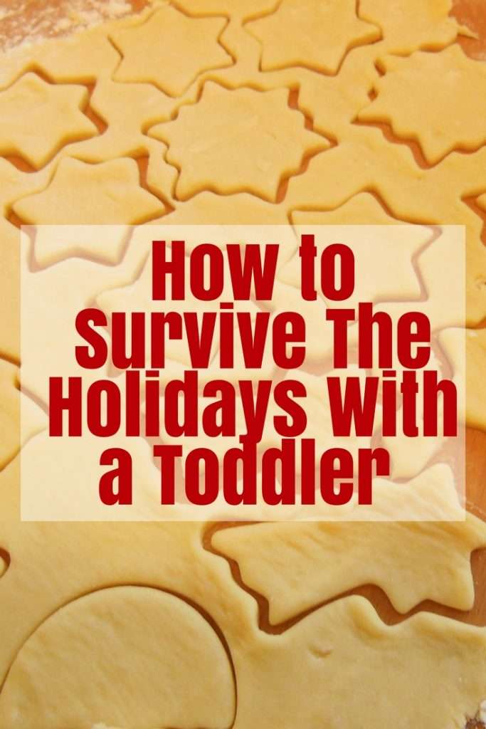 A Fun Craft for All Ages Reindeer Feed Reindeer Dust