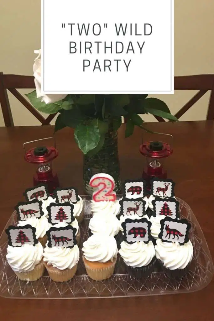 Two Wild Birthday Party