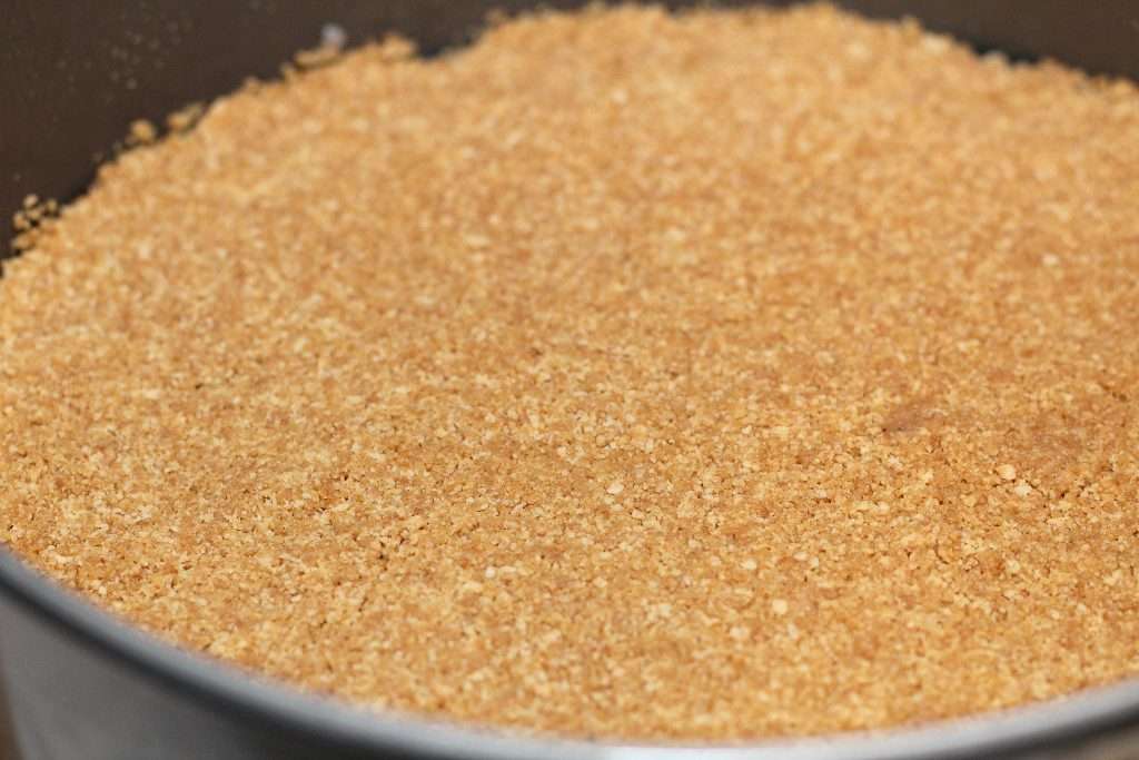 No Bake Pumpkin Cheesecake 6 no bake pumpkin cheesecake Graham cracker crust in a springform pan.