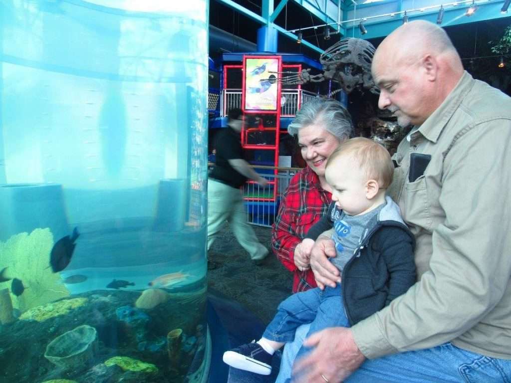 Southern Lemon Pound Cake Recipe 4 A woman, man and a toddler looking at a fish tank.