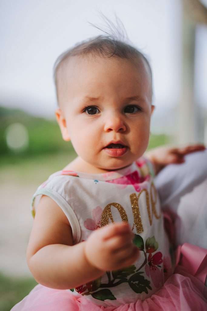 One year old in her first birthday tutu at cake smash session