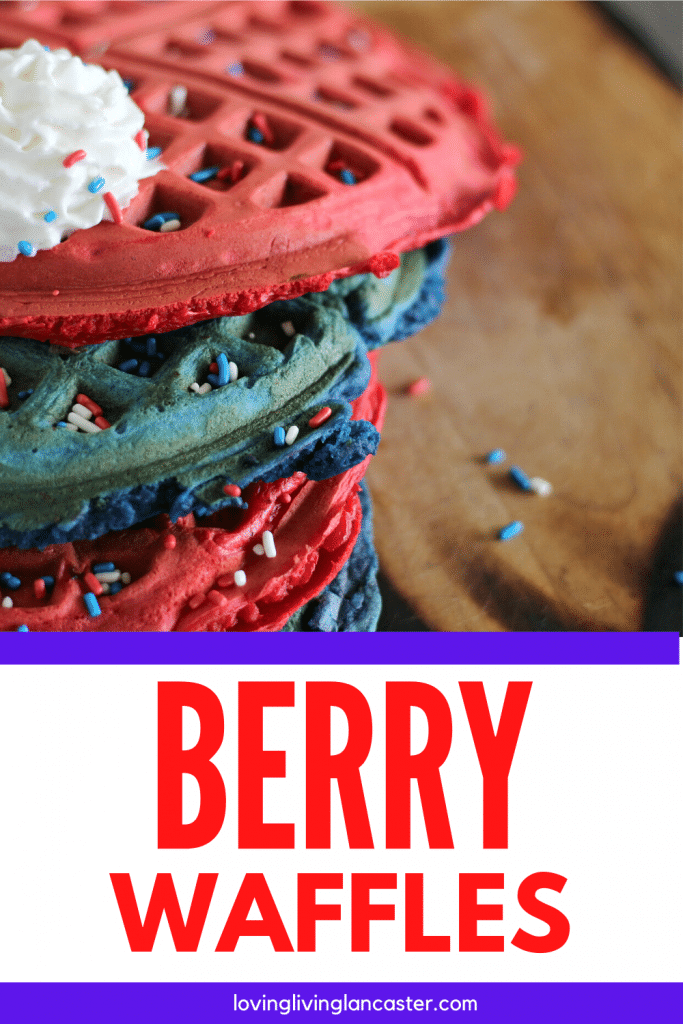 patriotic waffles pin 6