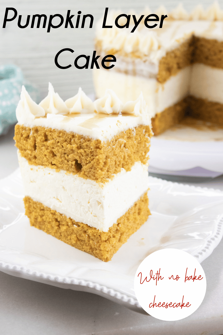 Pumpkin Cake 17 A square slice of pumpkin cake on white plate.