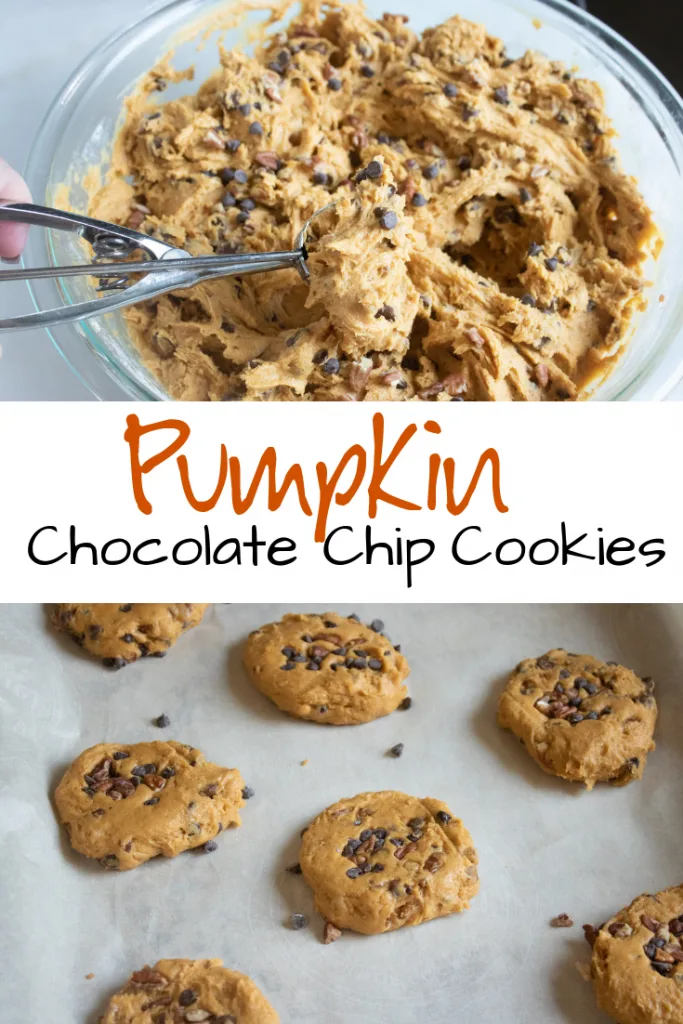 scooping pumpkin chocolate chip cookies