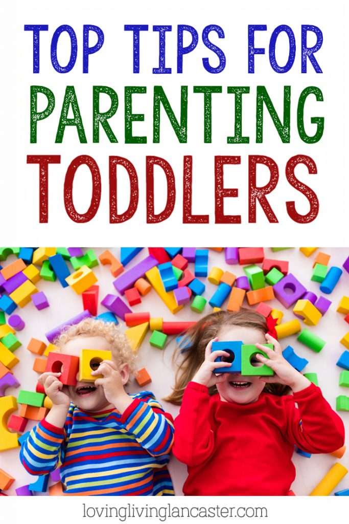 allisonLLL toddlertips