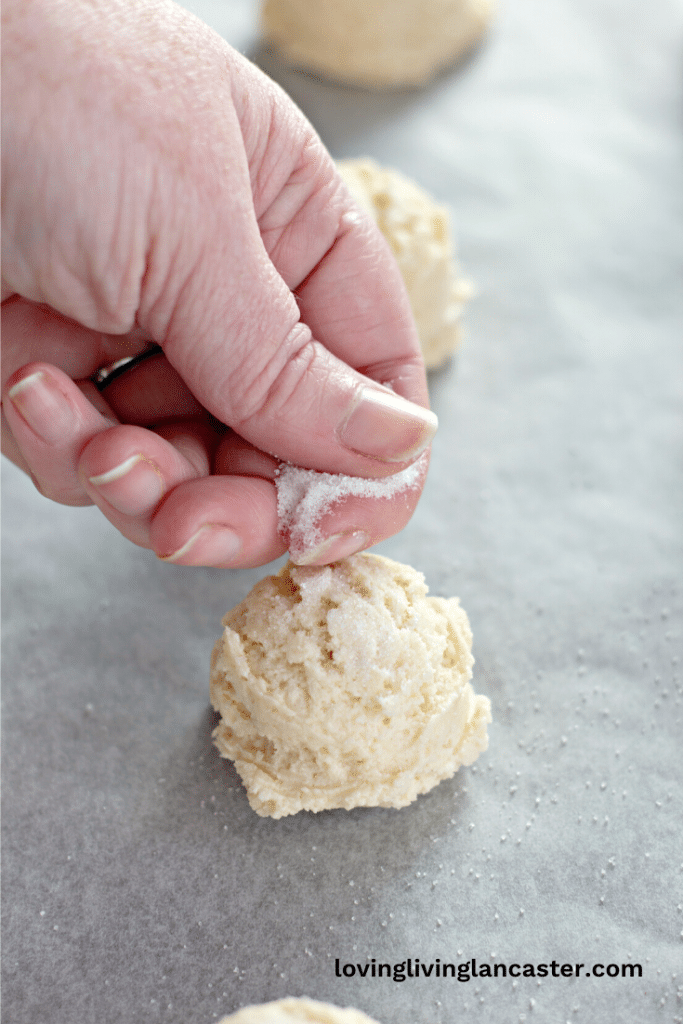 Amish Sugar Cookies 13 Amish sugar cookie dough balls added to a baking sheet lined with parchment paper.