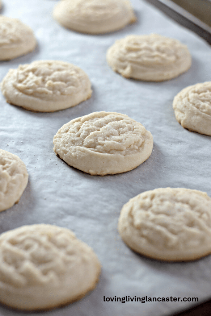 Amish Sugar Cookies 15 Baked Amish sugar cookies removed from the oven.