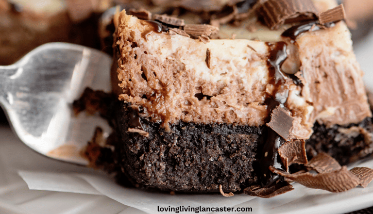 Chocolate Swirl Cheesecake Bars