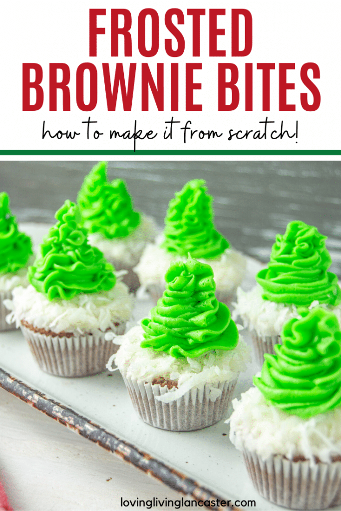 bronwies frosting pin 2