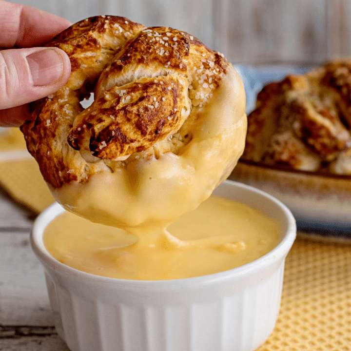Soft Pretzels with Biscuit Dough 26 Soft Pretzels with Biscuit Dough