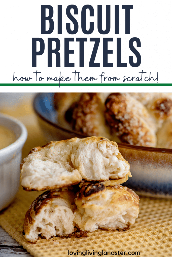 pretzels pin 6