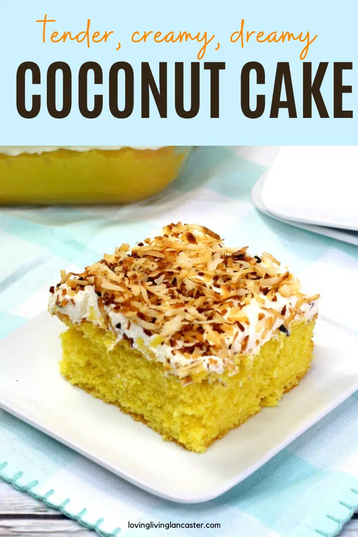 coconut cake on white plate