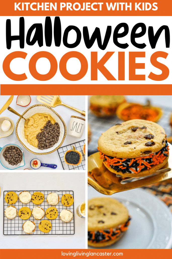 halloween cookies pin 4
