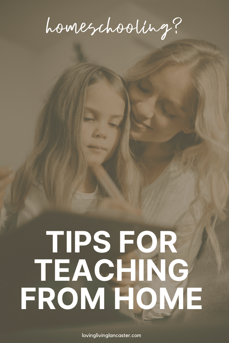 8 Strategies for Successful Homeschooling
