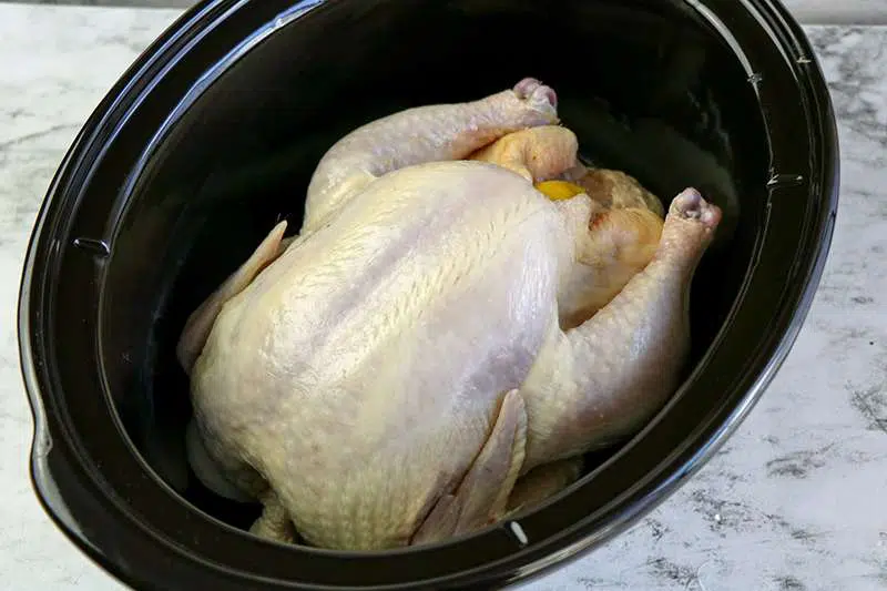 Bare chicken placed in crockpot