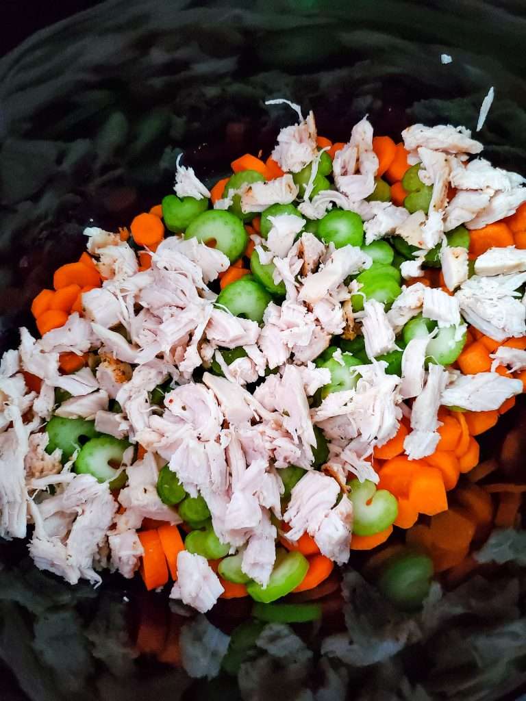turkey, celery and carrots chopped in slow cooker