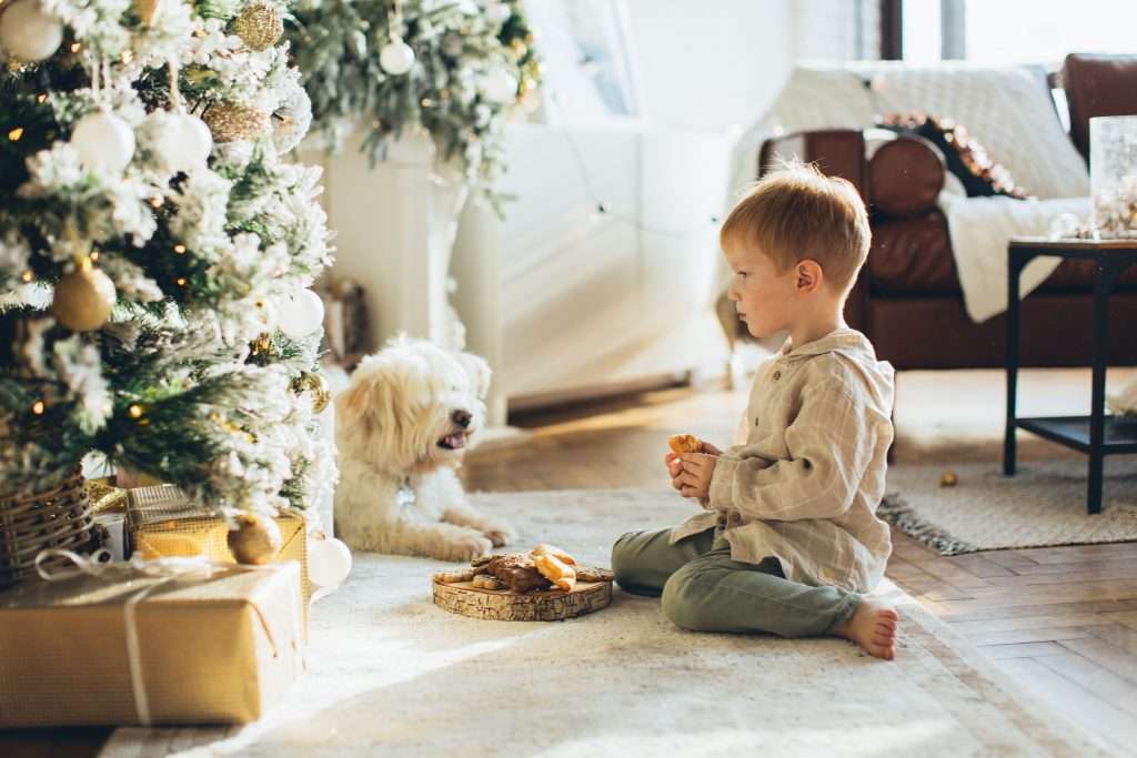 Christmas Gift Ideas for 5 Year Old Boys 5 little boy sitting in front of the christmas tree with snacks and a dog