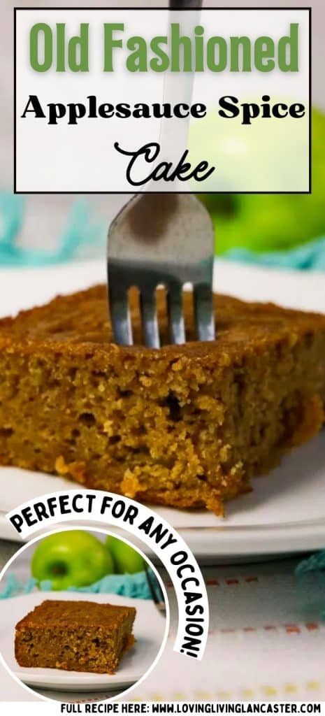 Applesauce Spice Cake Pin