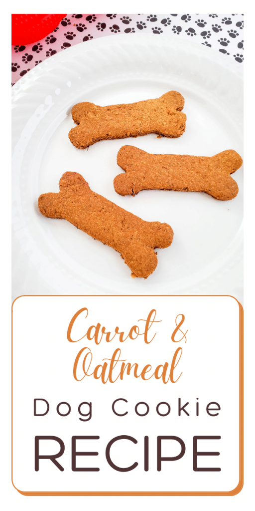 carrot and oatmeal 1
