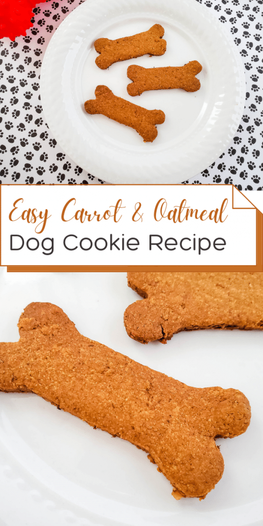 carrot and oatmeal 3
