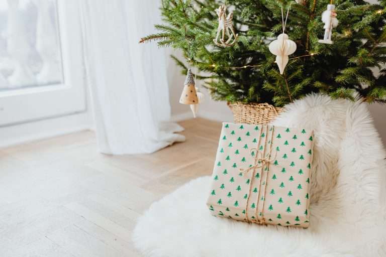 Christmas gifts for toddler girls