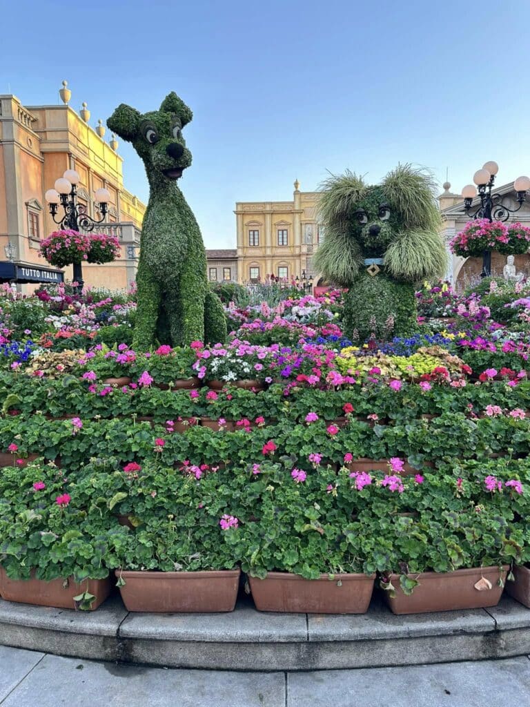 Spring at Disney World: Why This Season Is Pure Enchantment! 2 Two topiaries in the shape of the Lady and the Tramp, surrounded by flowering shrubs, shot at Disney World during daytime.