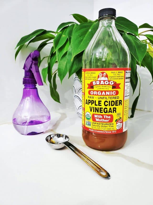 Uses for Apple Cider Vinegar