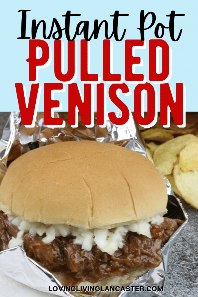 instant pot venison sandwich on hamburger bun with chips