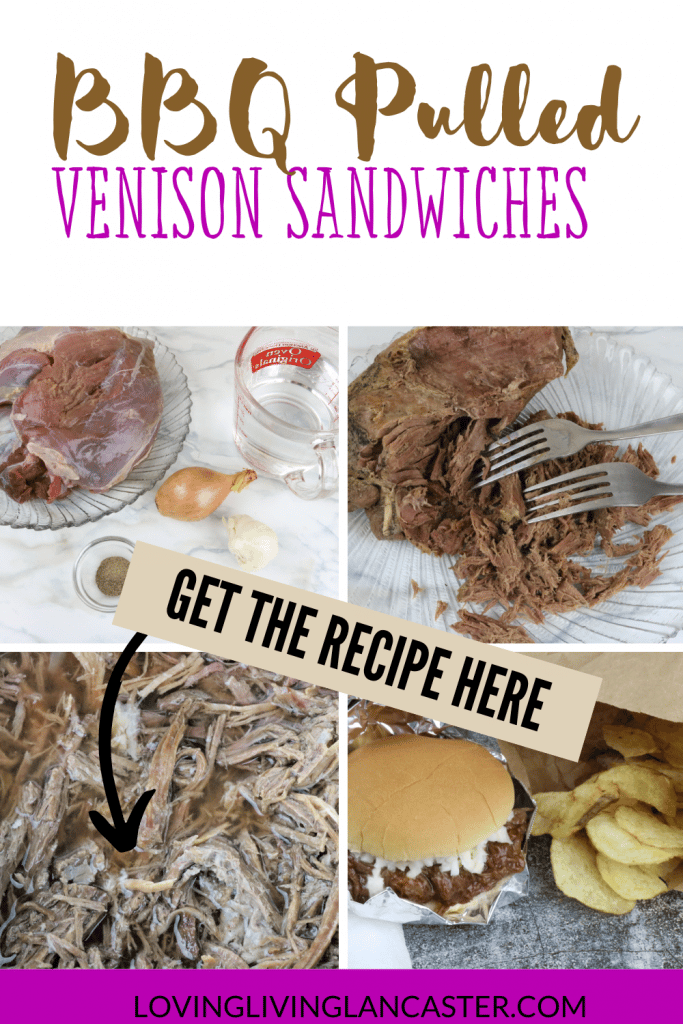 instant pot venison sandwiches