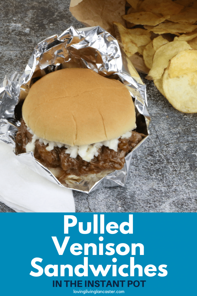 instant pot pulled venison sandwich with chips