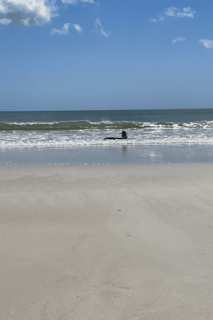 5 Family Friendly Ideas For St. Augustine Beach 3 st augustine beach 1