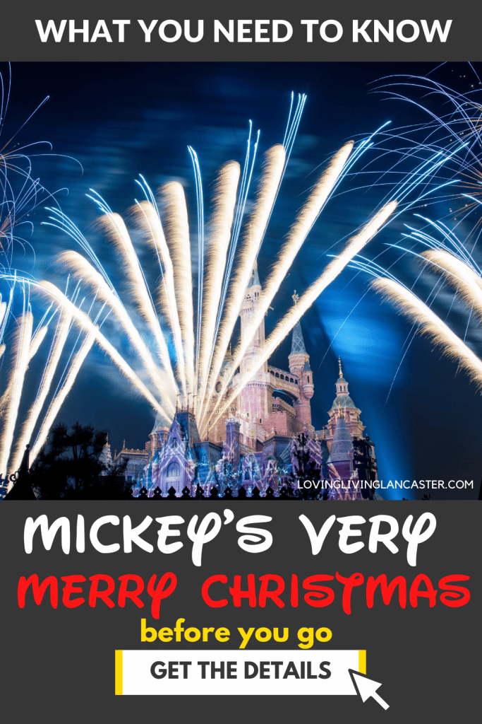 disney at christmas pin