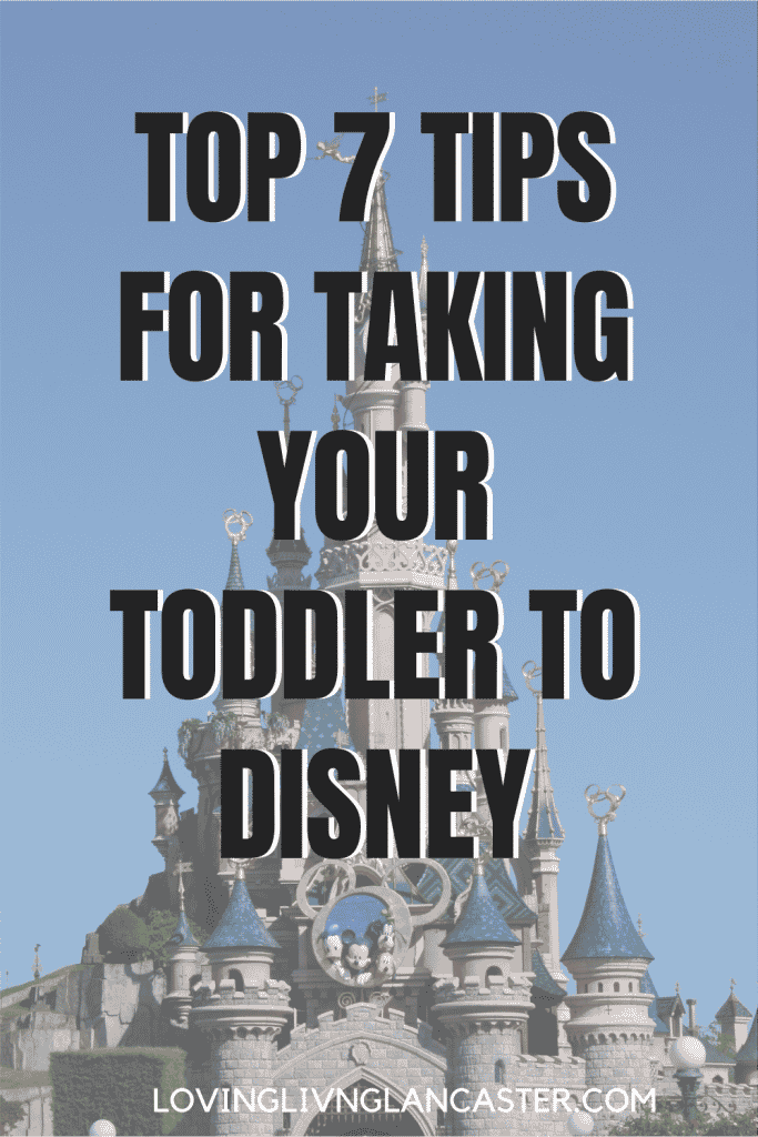 cinderellas castle