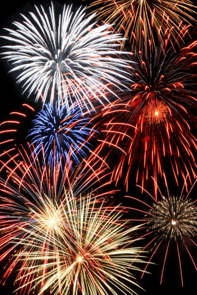 Disney Cruise vs. Disney World 7 Things To Consider Before Your Next Trip 4 fireworks in a dark sky