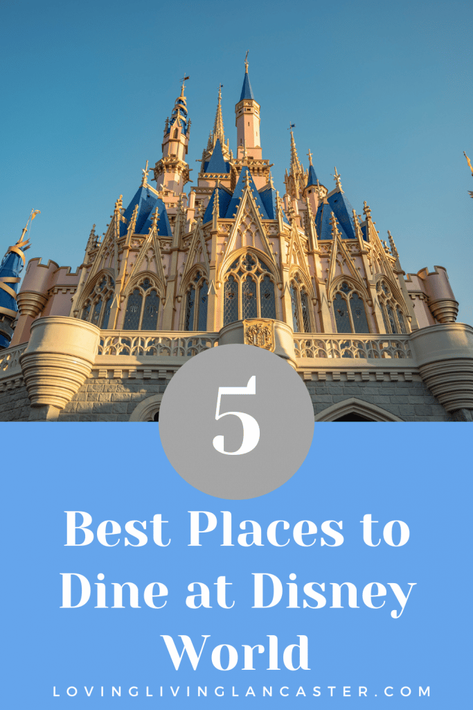 disney world dining pin