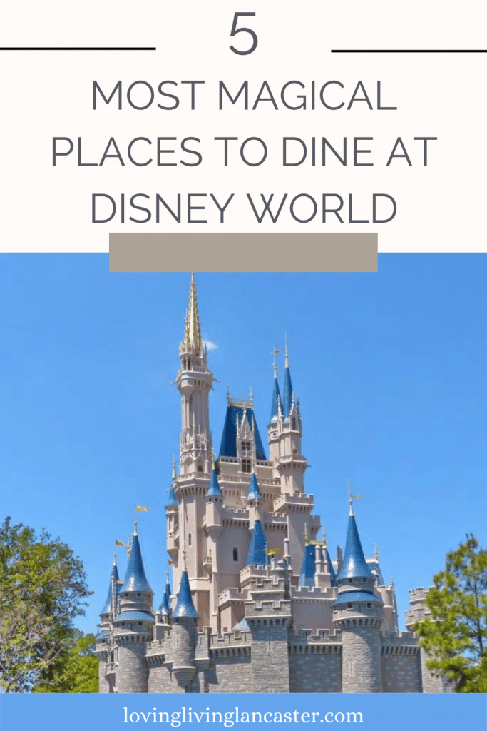 disney world dining pin