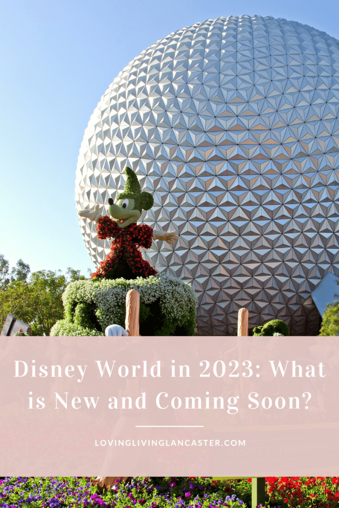 Disney World in 2023: What is New and Coming Soon?