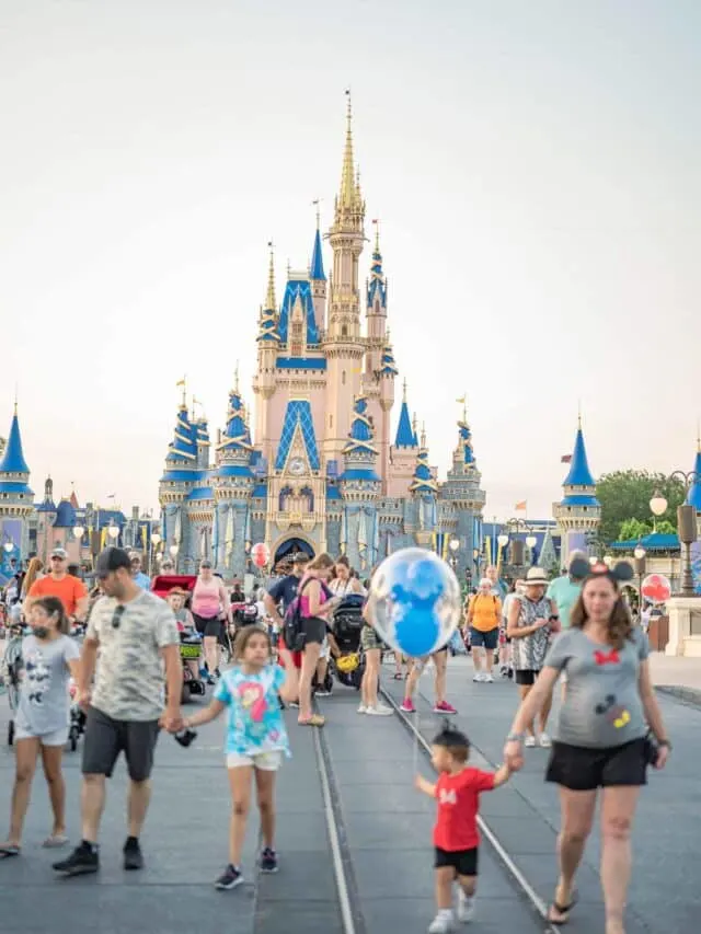 Magic Kingdom Disney World Castle