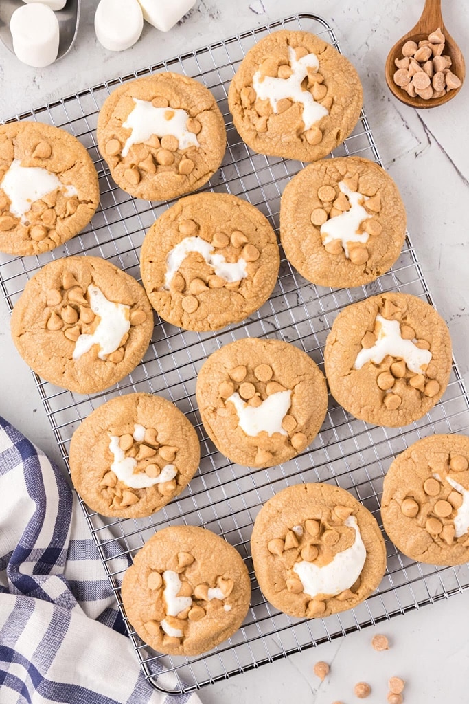 38 Christmas Cookies To Make From Scratch 39 Easy Christmas cookie recipe from scratch