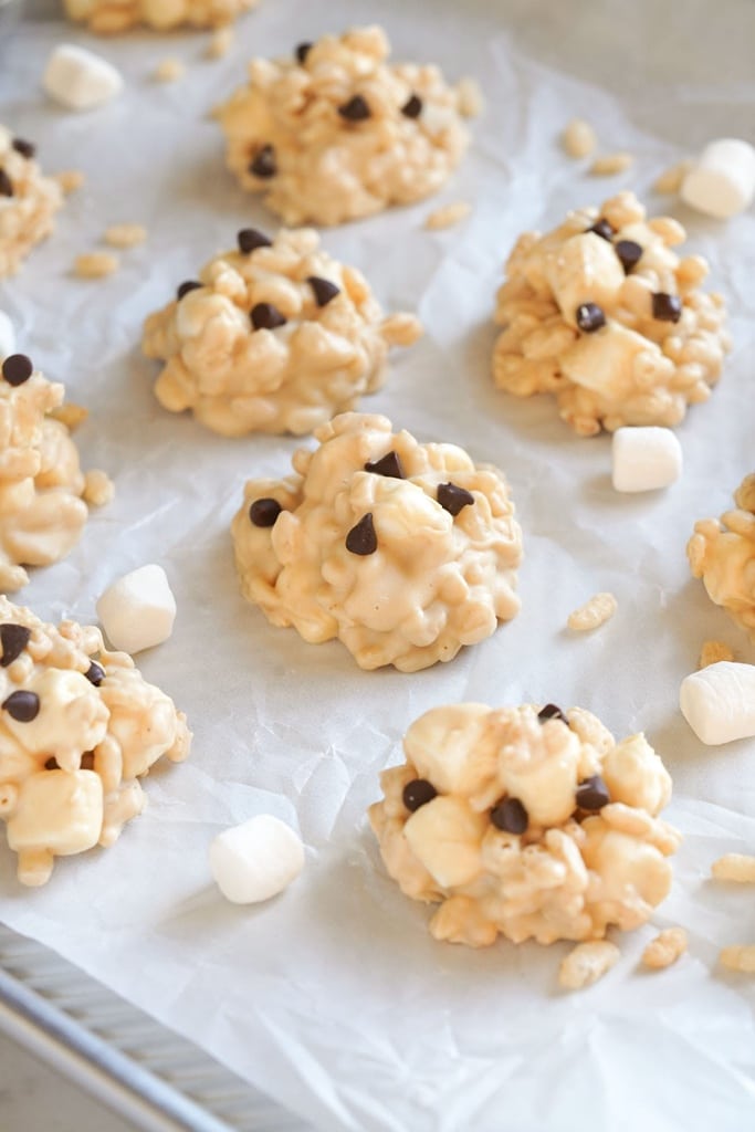 50 Fabulous Cookie Recipes Without Eggs 45 Cookies without eggs no eggless